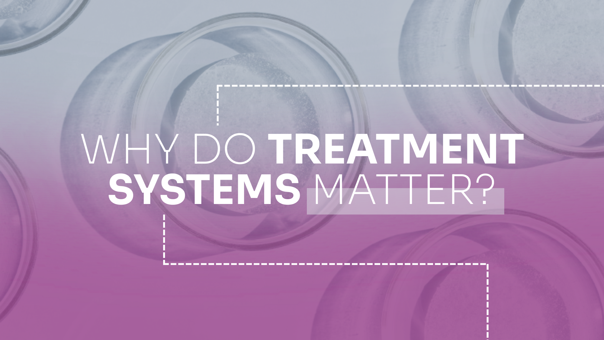 Why Treatment Systems Matter: Extending and Enhancing Professional Results